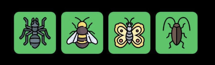 FLIES Daily Combo 15 June 2025